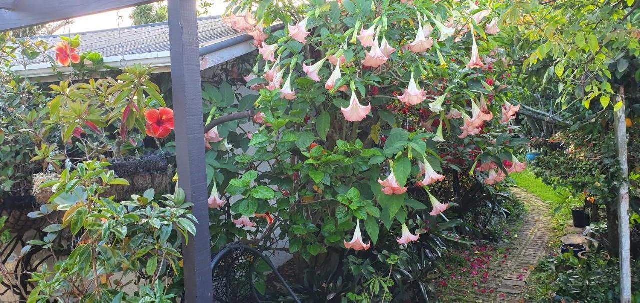 Ashcroft Gardens Napier