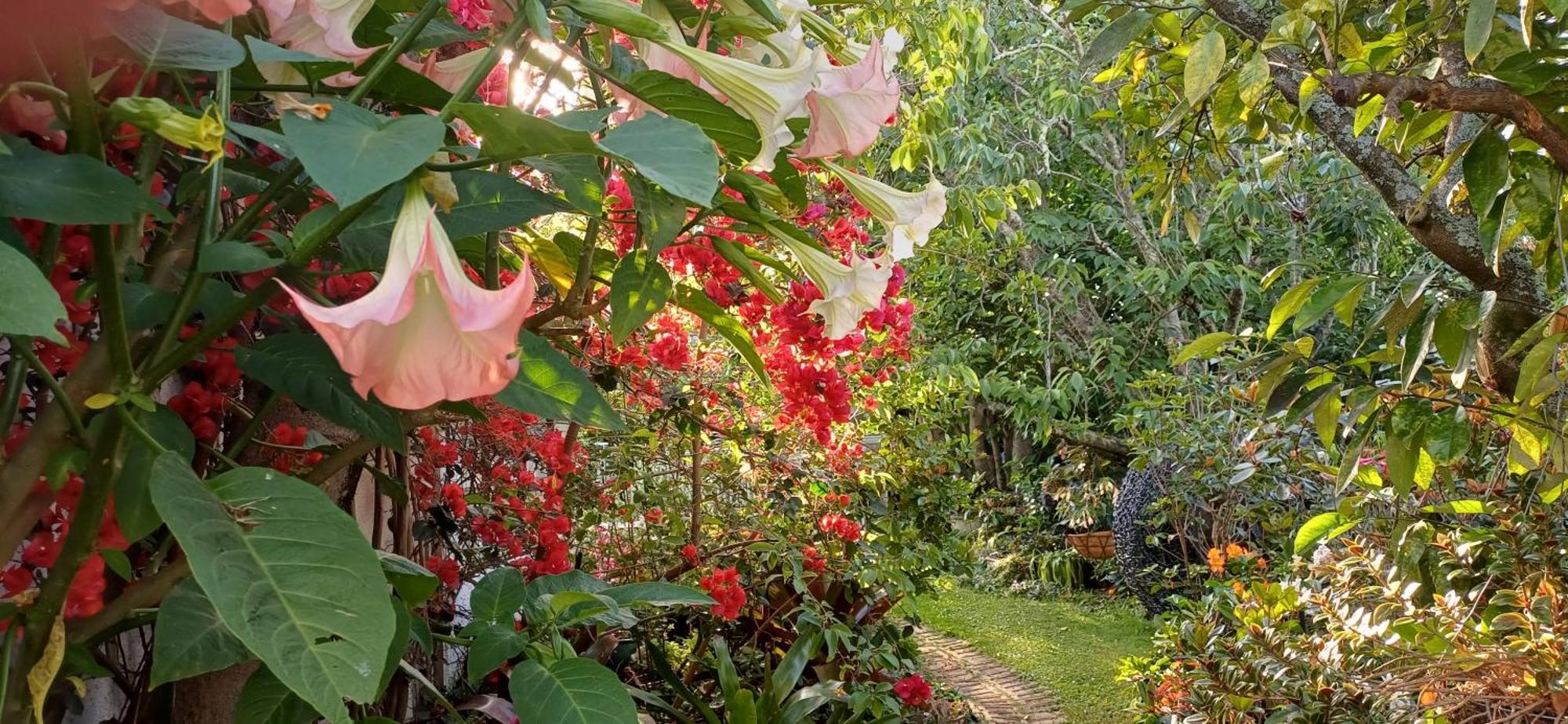 Ashcroft Gardens Bed & Breakfast Napier