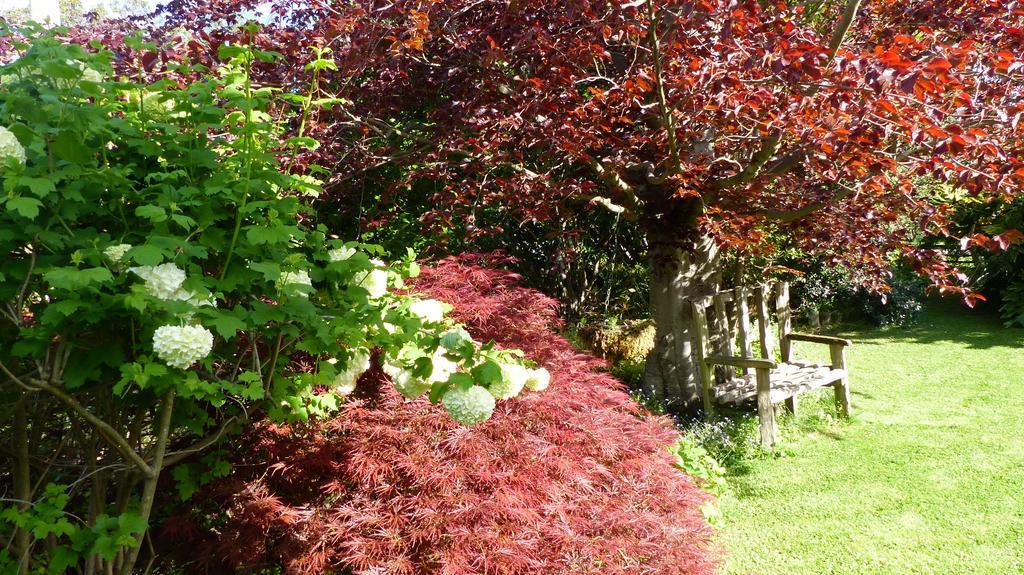 Ashcroft Gardens Napier