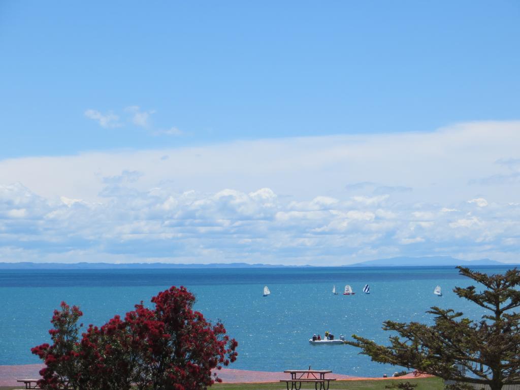 Harbour View On Ahuriri In Nz With Sea View Motel 4*