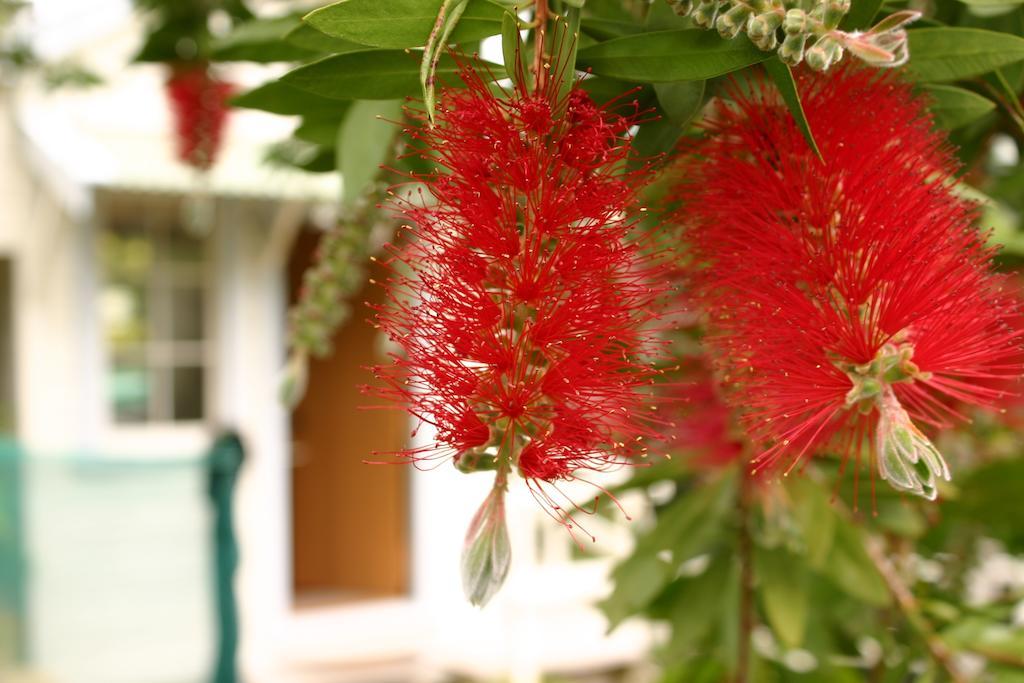 Bed & Breakfast Bluff Hill *