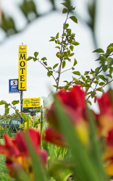 Motel Garden 3*