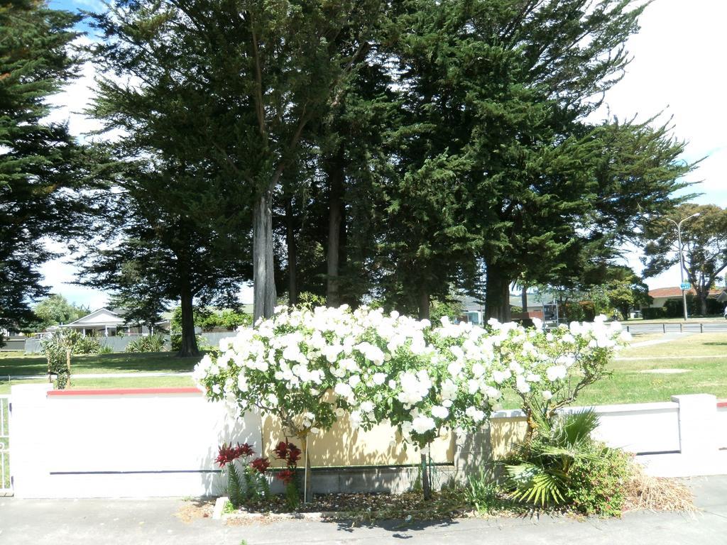 Pania Motel Napier