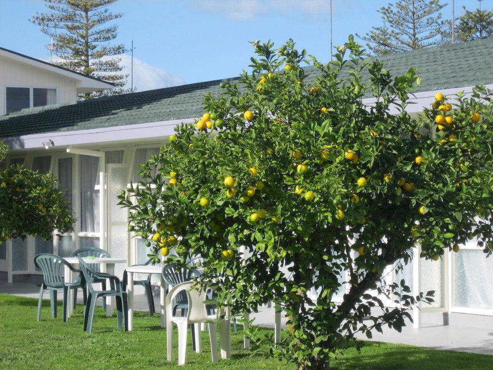 Garden Napier