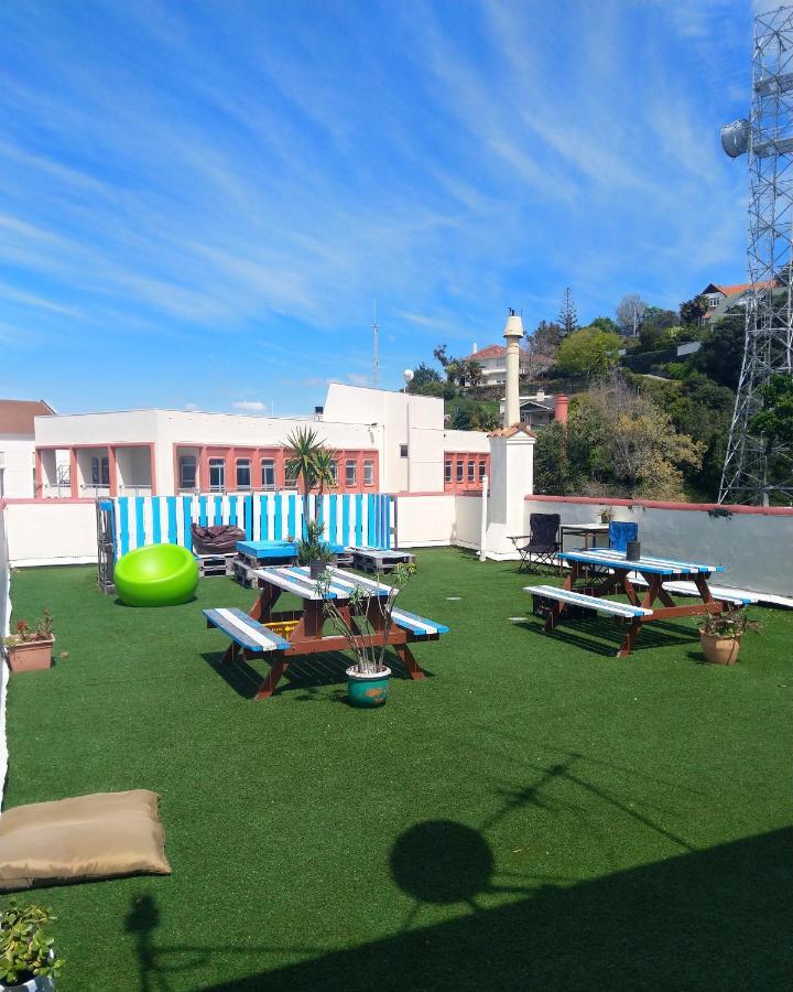Hostel Crashpalace Backpackers *