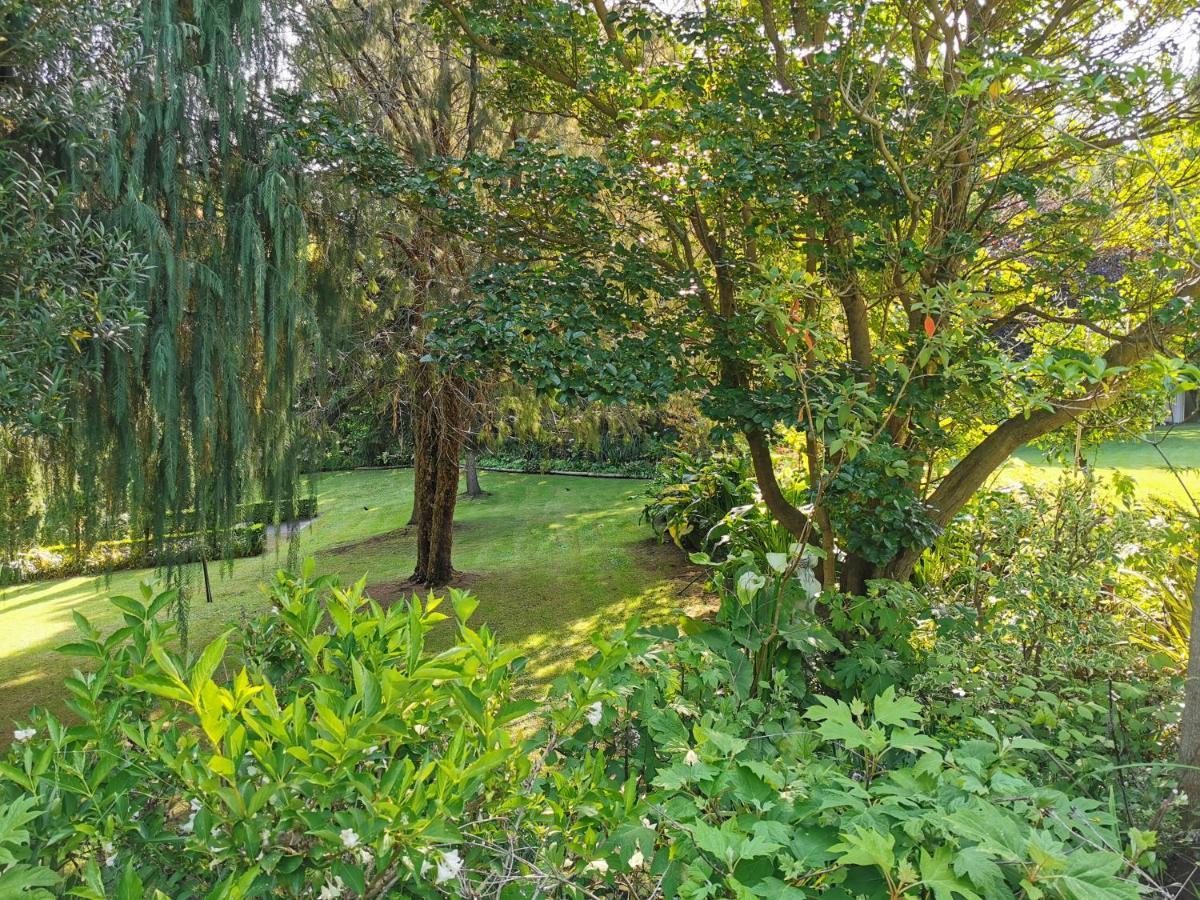 La Belle Vie Bed & Breakfast Apartment Napier